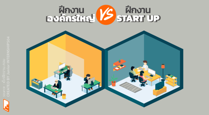 ความแตกต่างระหว่างฝึกงานในองค์กรใหญ่ กับ Startup