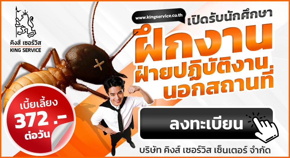 บริษัท คิงส์ เซอร์วิส เซ็นเตอร์ จำกัด